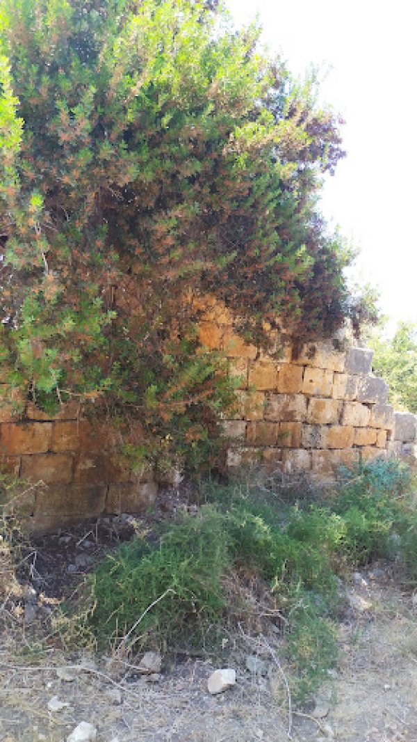  | موسوعة القرى الفلسطينية