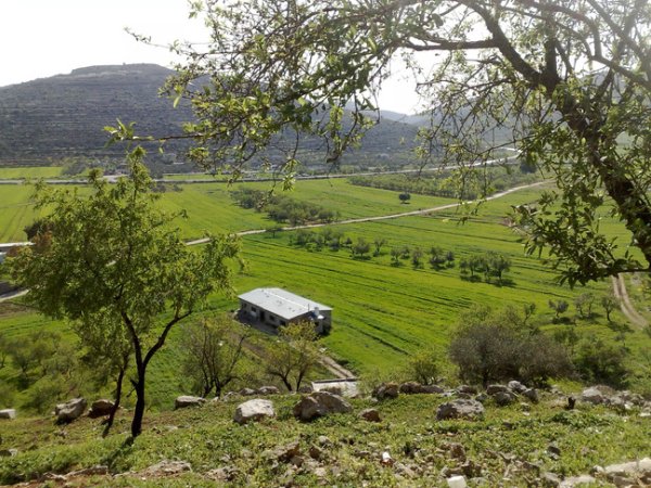  | موسوعة القرى الفلسطينية