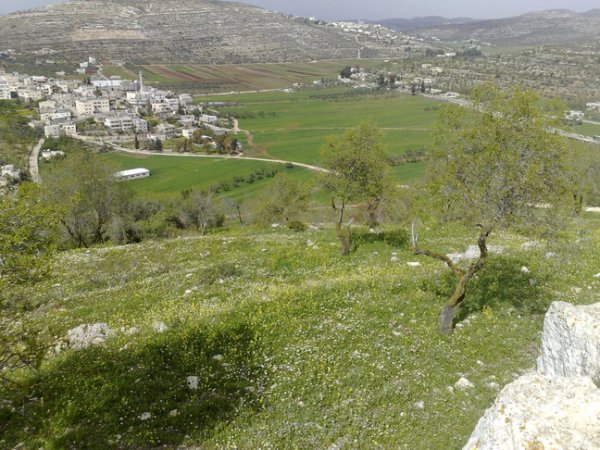  | موسوعة القرى الفلسطينية