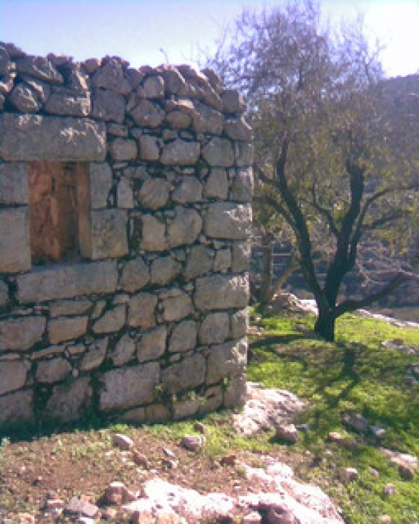  | موسوعة القرى الفلسطينية