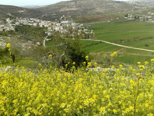  | موسوعة القرى الفلسطينية