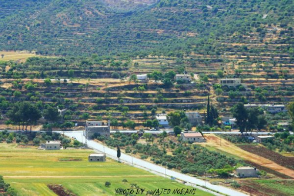  | موسوعة القرى الفلسطينية