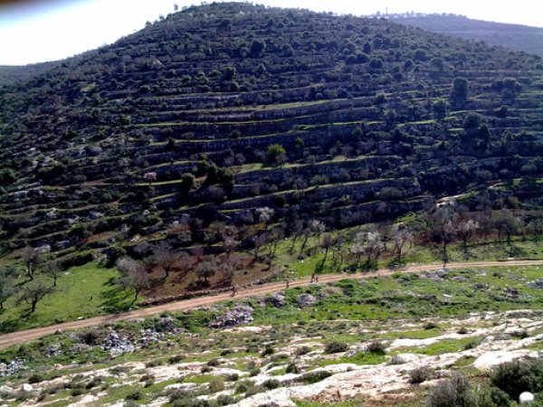  | موسوعة القرى الفلسطينية