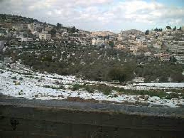 | موسوعة القرى الفلسطينية  | موسوعة القرى الفلسطينية