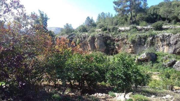 | موسوعة القرى الفلسطينية  | موسوعة القرى الفلسطينية