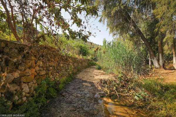 | موسوعة القرى الفلسطينية  | موسوعة القرى الفلسطينية