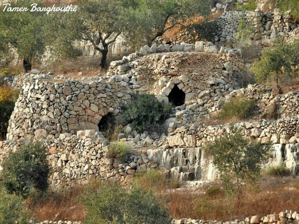 | موسوعة القرى الفلسطينية  | موسوعة القرى الفلسطينية