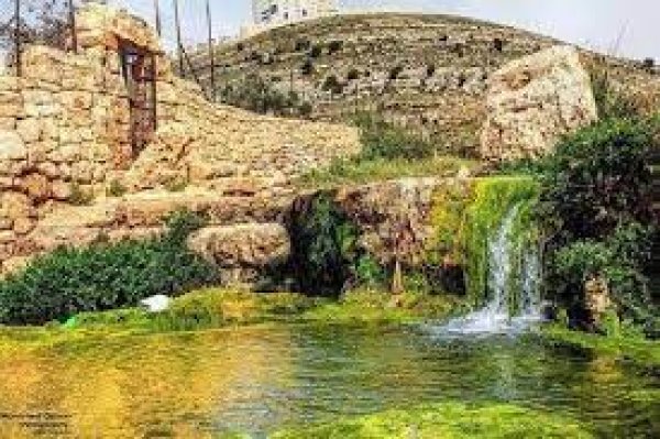| موسوعة القرى الفلسطينية  | موسوعة القرى الفلسطينية