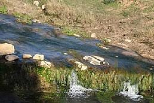 | موسوعة القرى الفلسطينية  | موسوعة القرى الفلسطينية