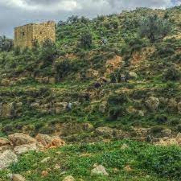 | موسوعة القرى الفلسطينية  | موسوعة القرى الفلسطينية