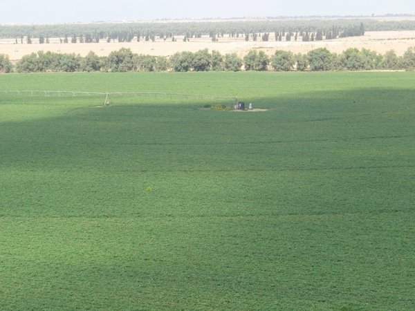 قوز الشعوث / قرية شعث: بئر السبع