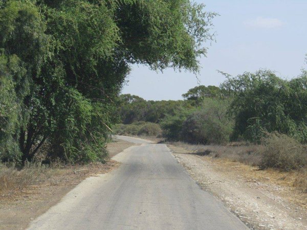 قوز الشعوث / قرية شعث: بئر السبع