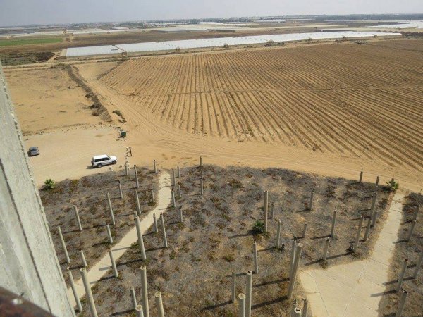 قوز الشعوث / قرية شعث: بئر السبع