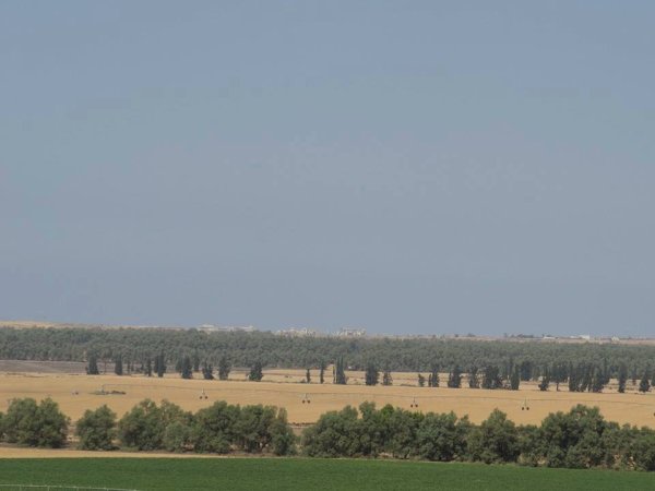 قوز الشعوث / قرية شعث: بئر السبع