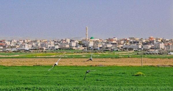  | موسوعة القرى الفلسطينية