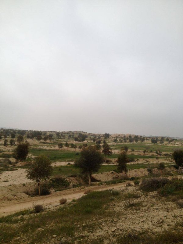  | موسوعة القرى الفلسطينية