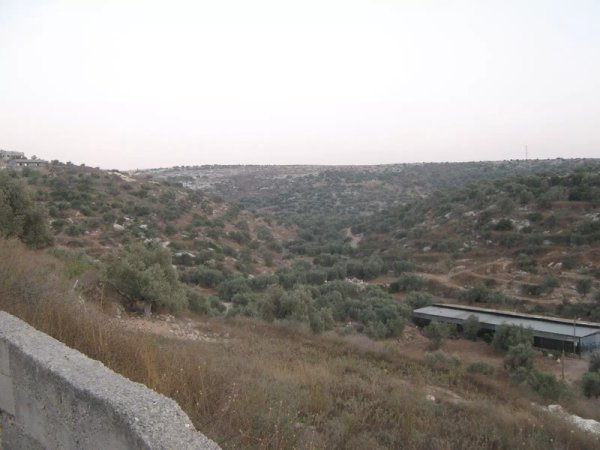 أراضي القرية/قرية سرطة