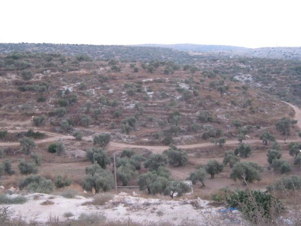 أراضي القرية/قرية سرطة