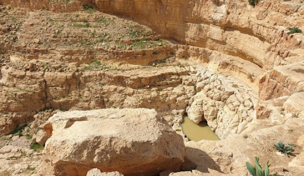 | موسوعة القرى الفلسطينية  | موسوعة القرى الفلسطينية