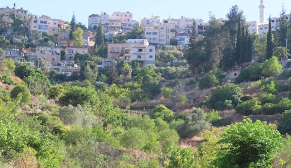 | موسوعة القرى الفلسطينية  | موسوعة القرى الفلسطينية