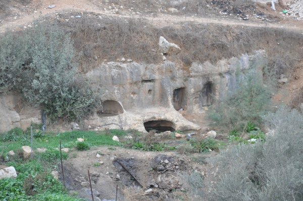 | موسوعة القرى الفلسطينية  | موسوعة القرى الفلسطينية