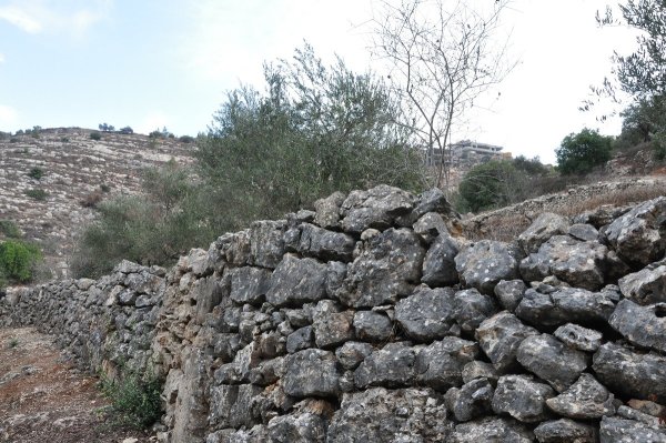 | موسوعة القرى الفلسطينية  | موسوعة القرى الفلسطينية