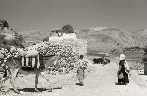 | موسوعة القرى الفلسطينية  | موسوعة القرى الفلسطينية