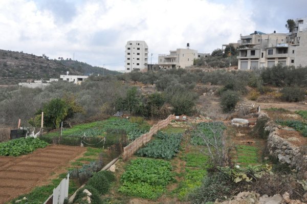 | موسوعة القرى الفلسطينية  | موسوعة القرى الفلسطينية