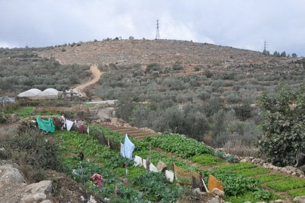 | موسوعة القرى الفلسطينية  | موسوعة القرى الفلسطينية