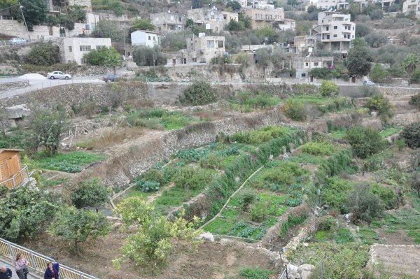 | موسوعة القرى الفلسطينية  | موسوعة القرى الفلسطينية