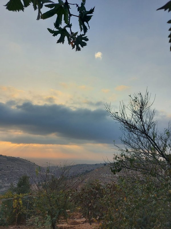  | موسوعة القرى الفلسطينية