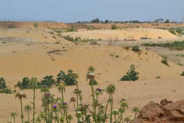  | موسوعة القرى الفلسطينية