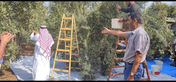  | موسوعة القرى الفلسطينية