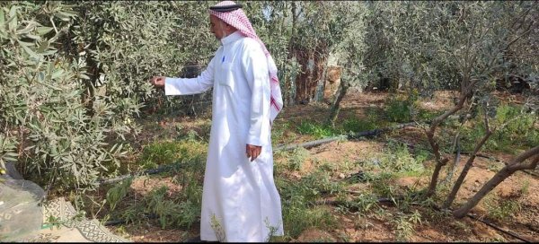  | موسوعة القرى الفلسطينية