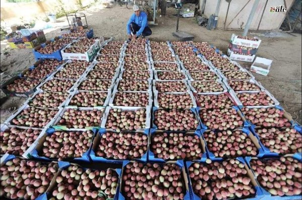  | موسوعة القرى الفلسطينية