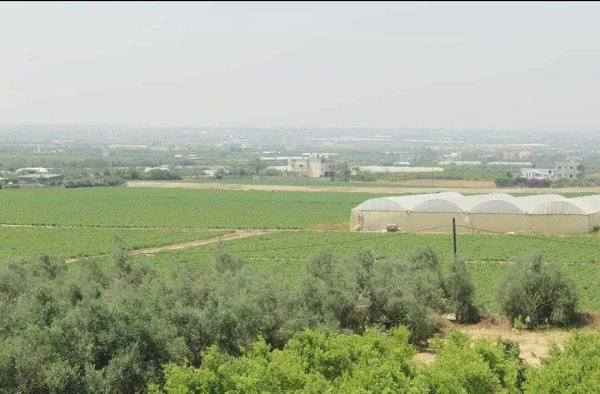  | موسوعة القرى الفلسطينية