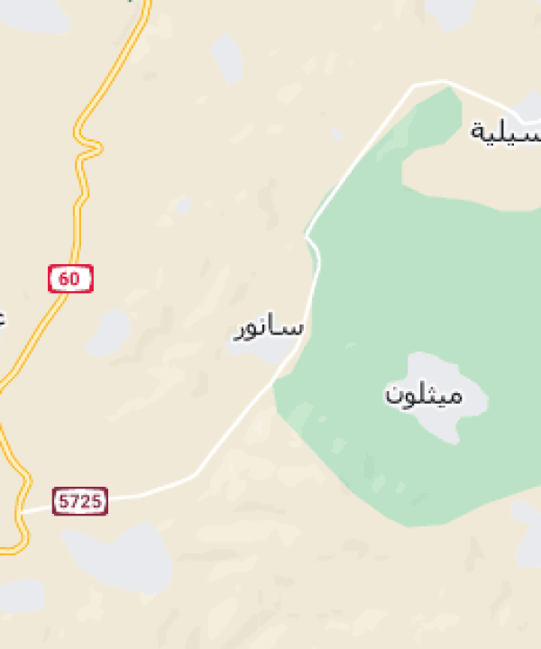 صانور /جنين