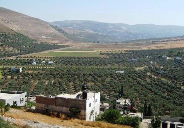 صانور /جنين