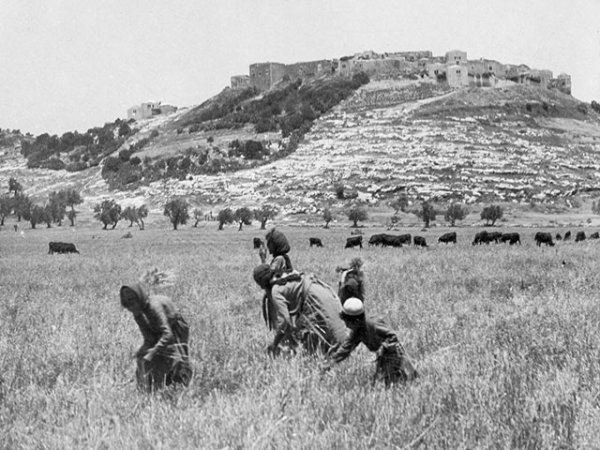 قلعة صانور /جنين