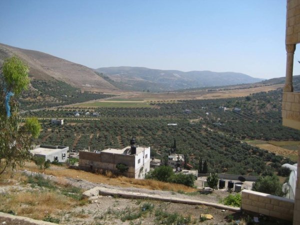 صانور /جنين