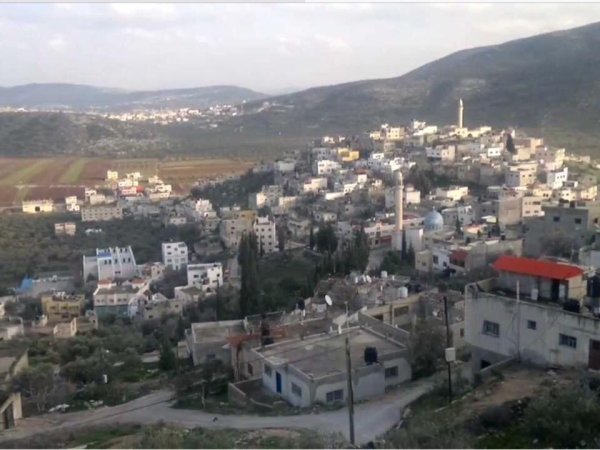 صانور /جنين