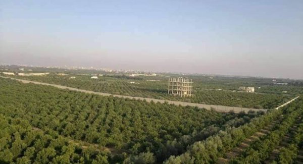  | موسوعة القرى الفلسطينية