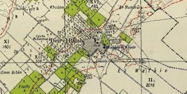 دير البلح / قطاع غزة