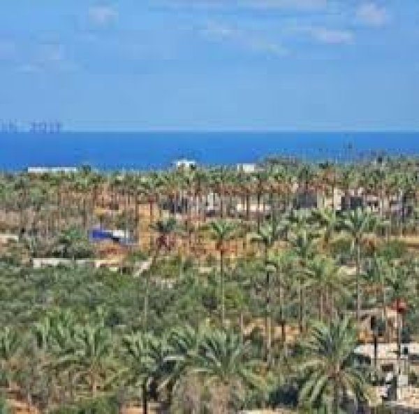  | موسوعة القرى الفلسطينية