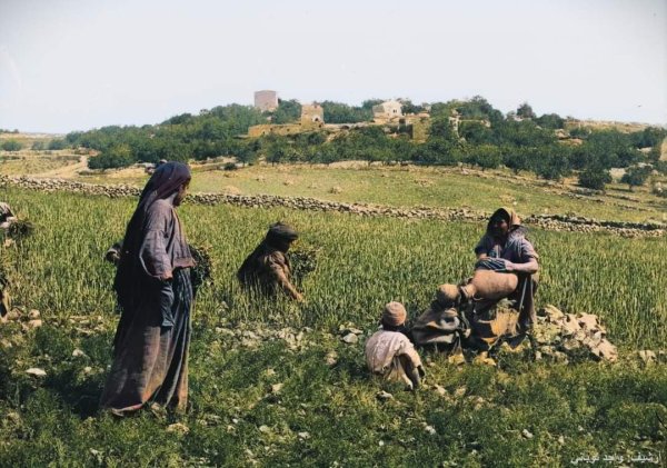 | موسوعة القرى الفلسطينية  | موسوعة القرى الفلسطينية