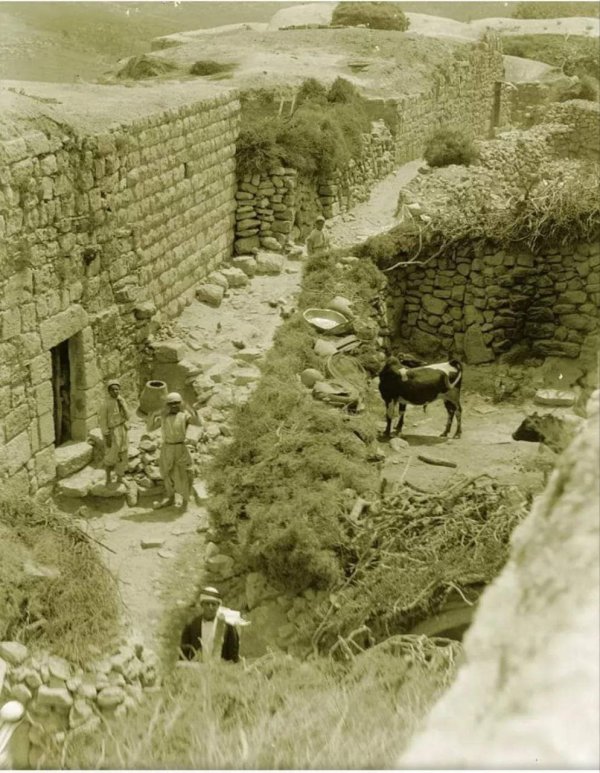 | موسوعة القرى الفلسطينية  | موسوعة القرى الفلسطينية