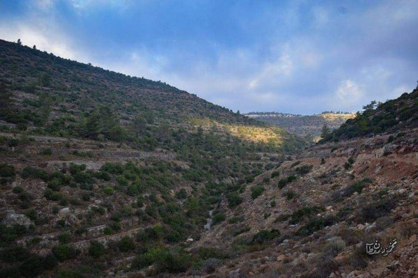  | موسوعة القرى الفلسطينية