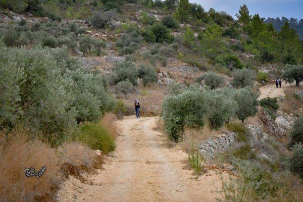  | موسوعة القرى الفلسطينية