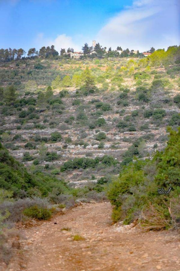  | موسوعة القرى الفلسطينية