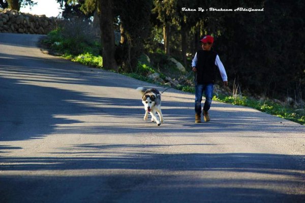  | موسوعة القرى الفلسطينية